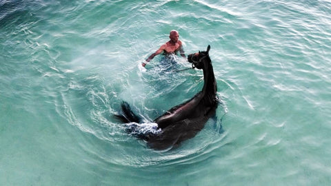 A trainer works with a racehorse in the sea near Colombia's San Andres Island.AP Photo/Ivan Valencia