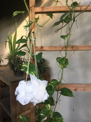 DIY Recycle Plastic Craft for Home Decor