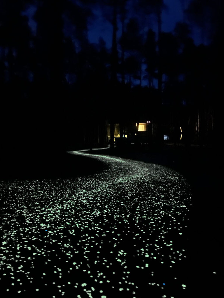 Magical Glowing Pathway