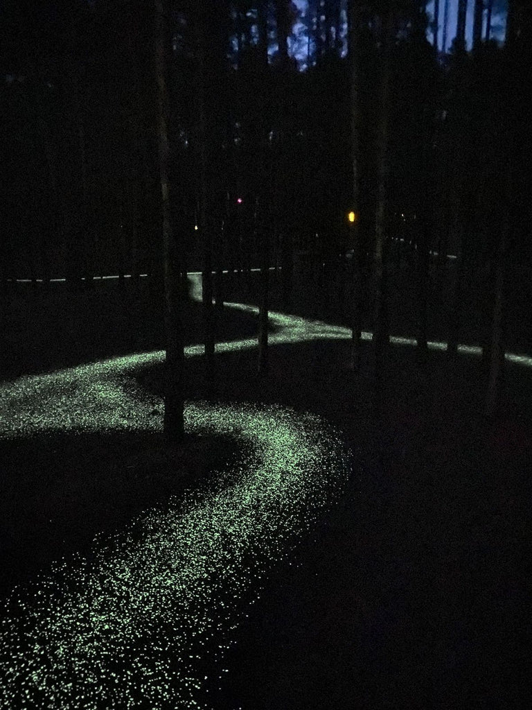 Magical Glowing Pathway