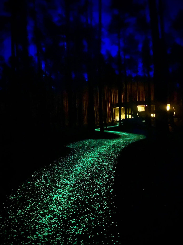 Magical Glowing Pathway