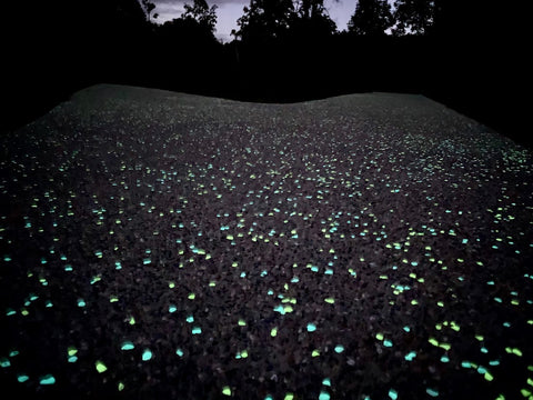 Exposed Aggregate Glowing Concrete Trail