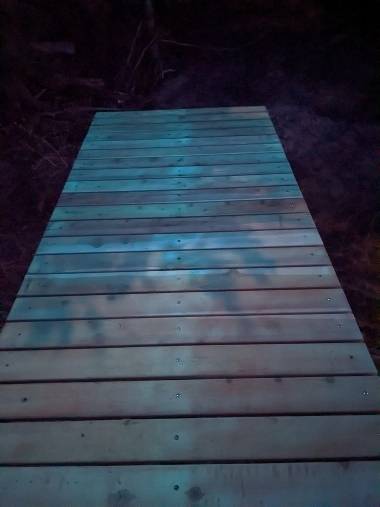 Glowing Wood Plank Dock