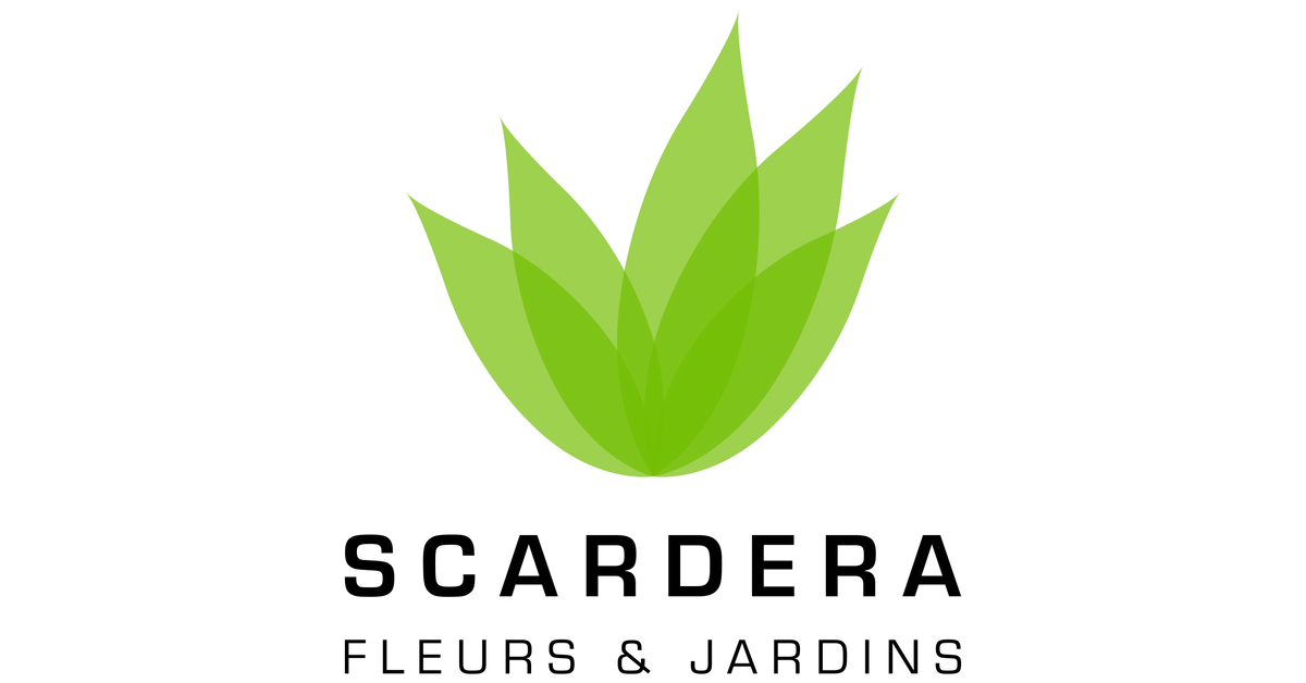 (c) Scardera.com