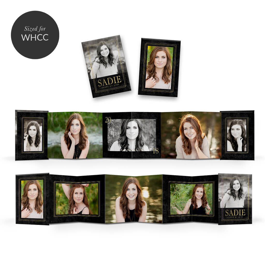 Download Coed | Mini Accordion Book - 3 Dollar Templates