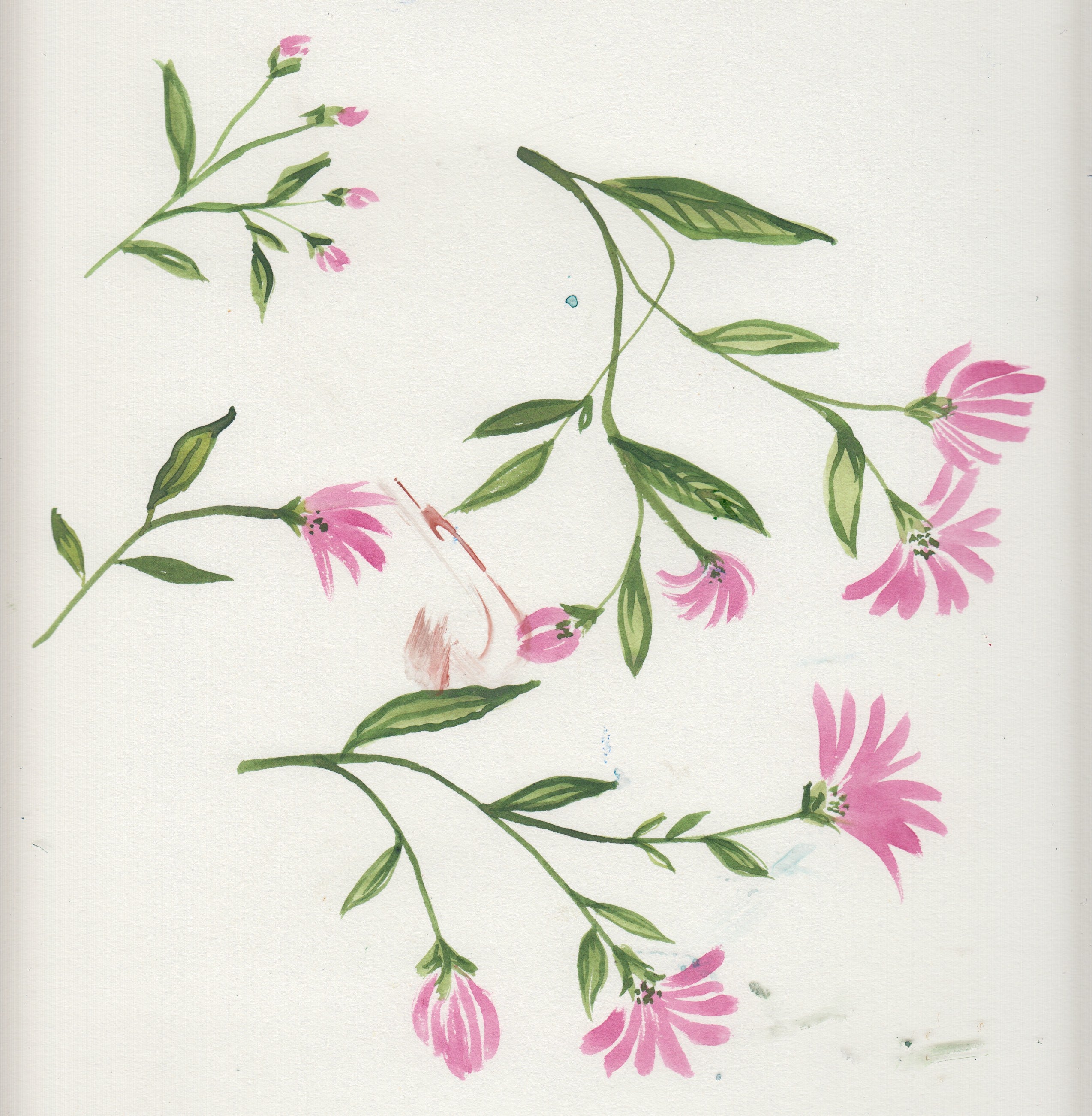 Pink and green floral watercolor artwork on a white background