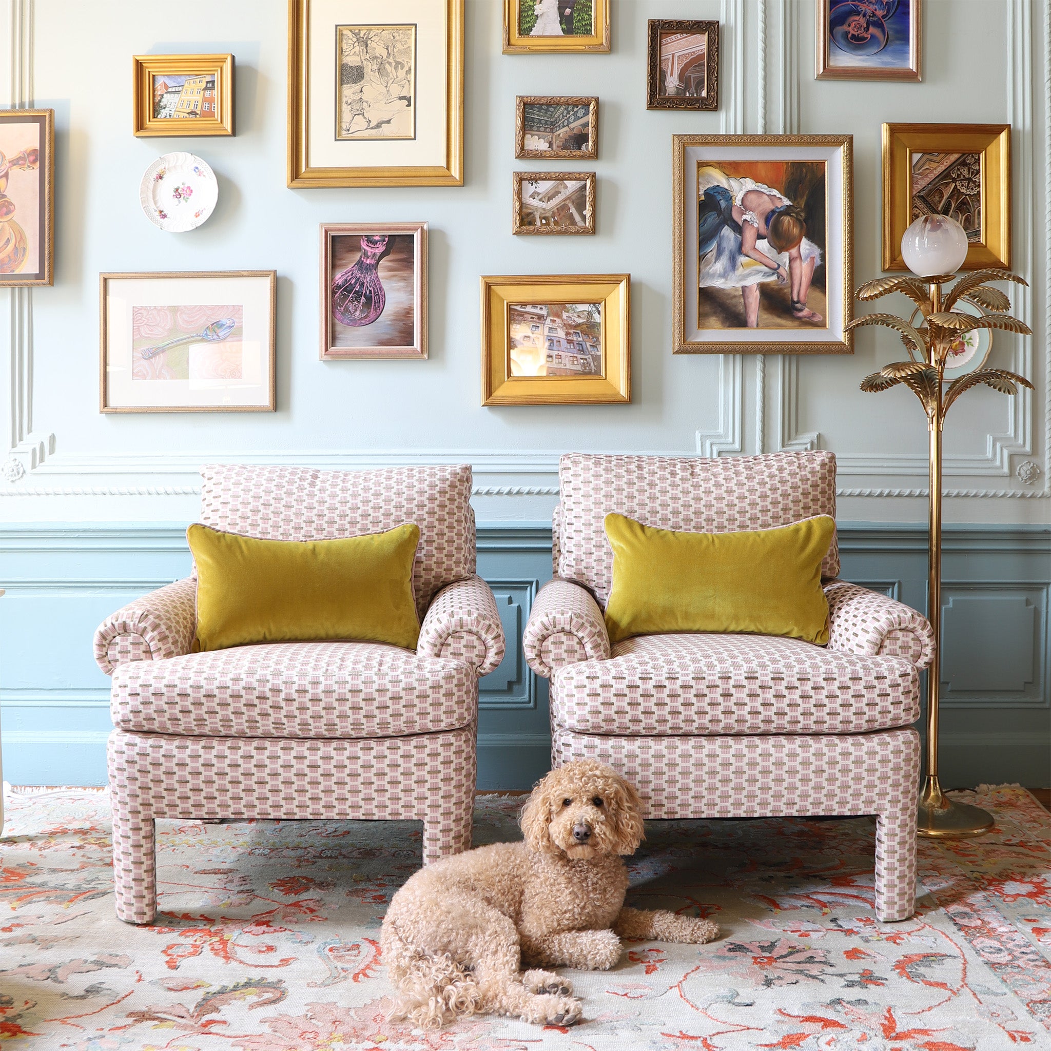 Dog sitting in front of two chairs upholstered in pink and citron chenille and woven jacquard fabric in a living room with blue walls and a gallery wall