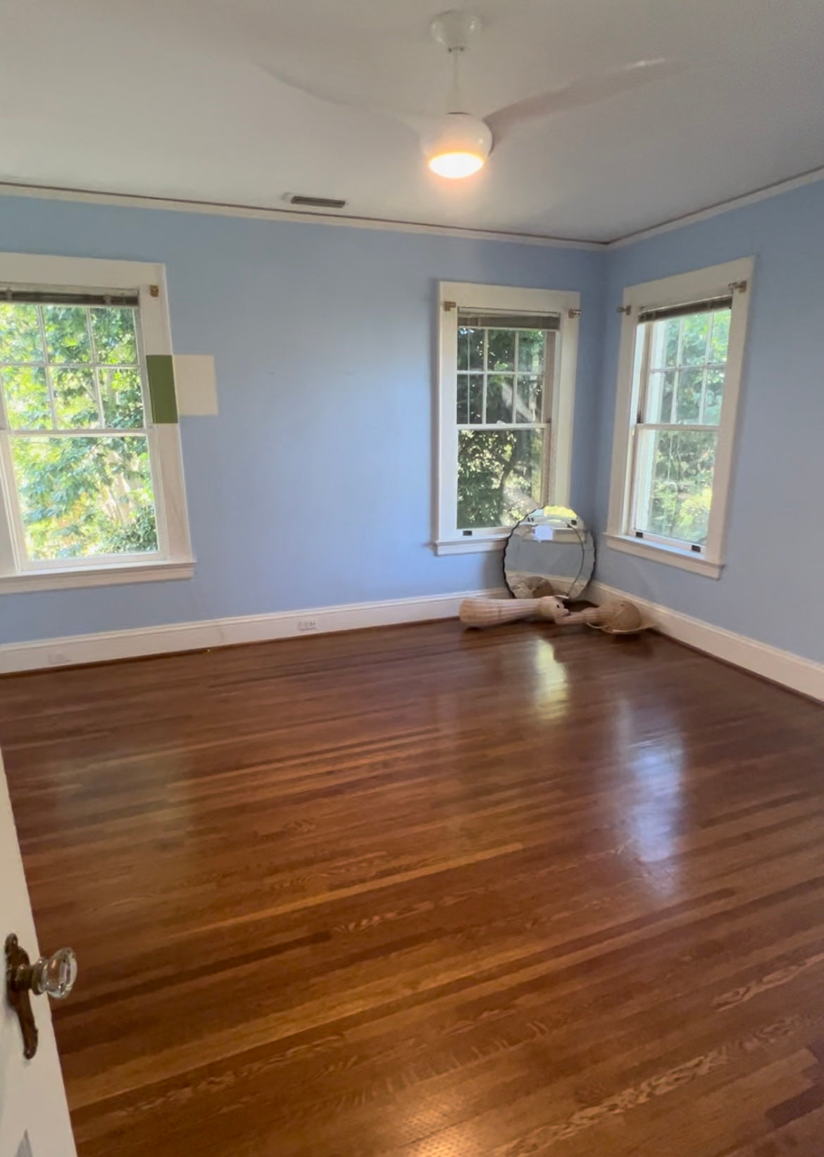 Empty room with wood floors and blue walls and three windows