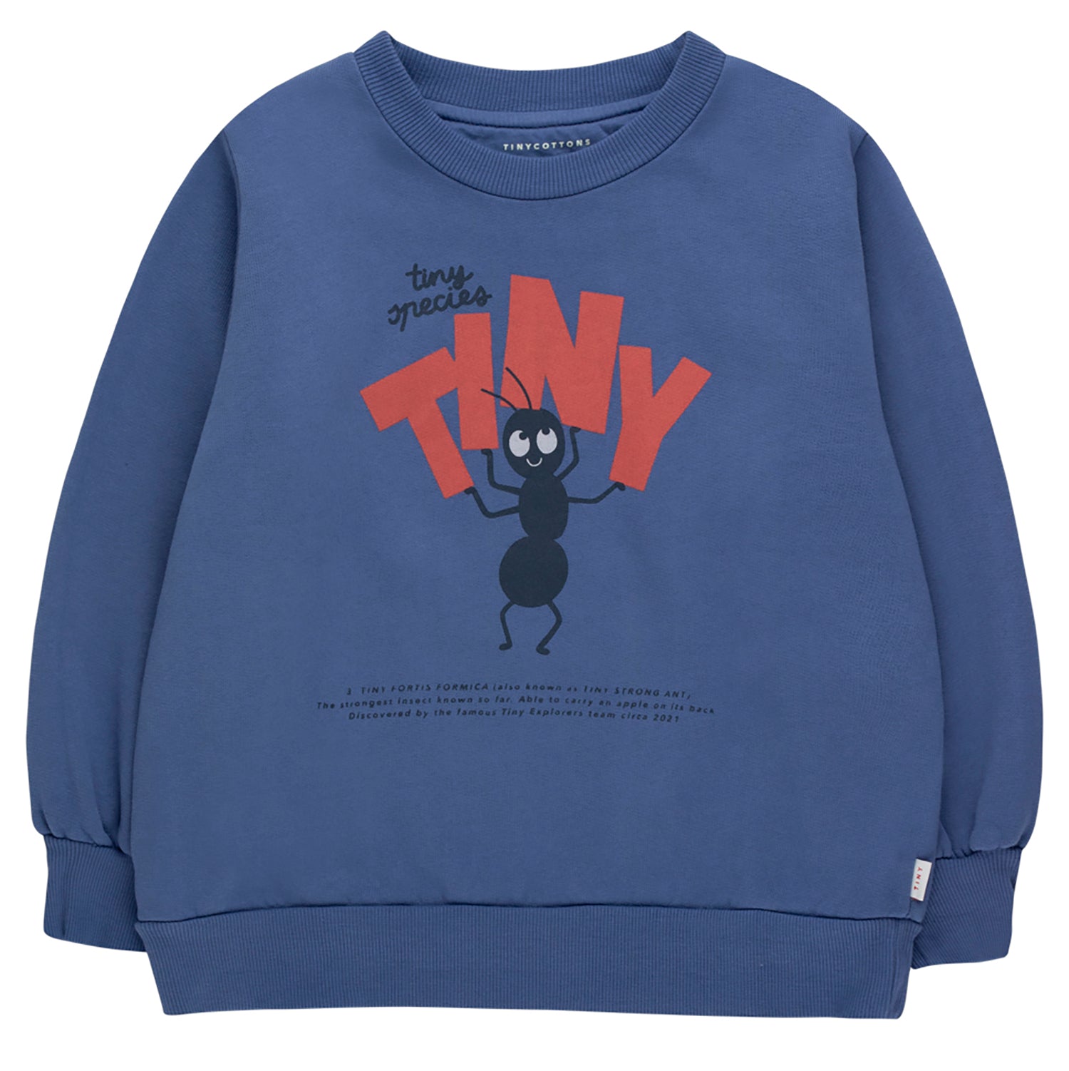 tiny cottons fortis formica sweatshirt