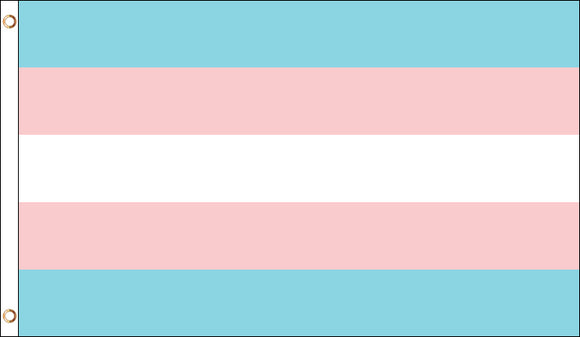 Trans and gay flag together