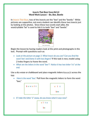Kid Lit, Insects That Buzz, Word Work Activity, Guided Reading, Leveled Readers, Hameray Publishing