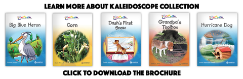 Hameray Publishing, Kaleidoscope Collection, Leveled Readers