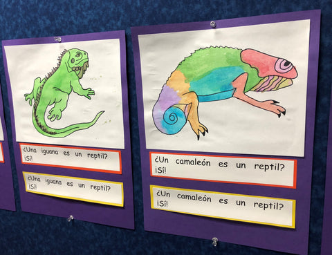 Literacy Blog, Creating a Wall Story for Shared Reading, Dual Language, Spanish