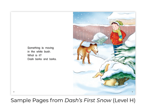 Hameray Publishing, Kaleidoscope  Collection, Dash’s First Snow, Leveled Readers