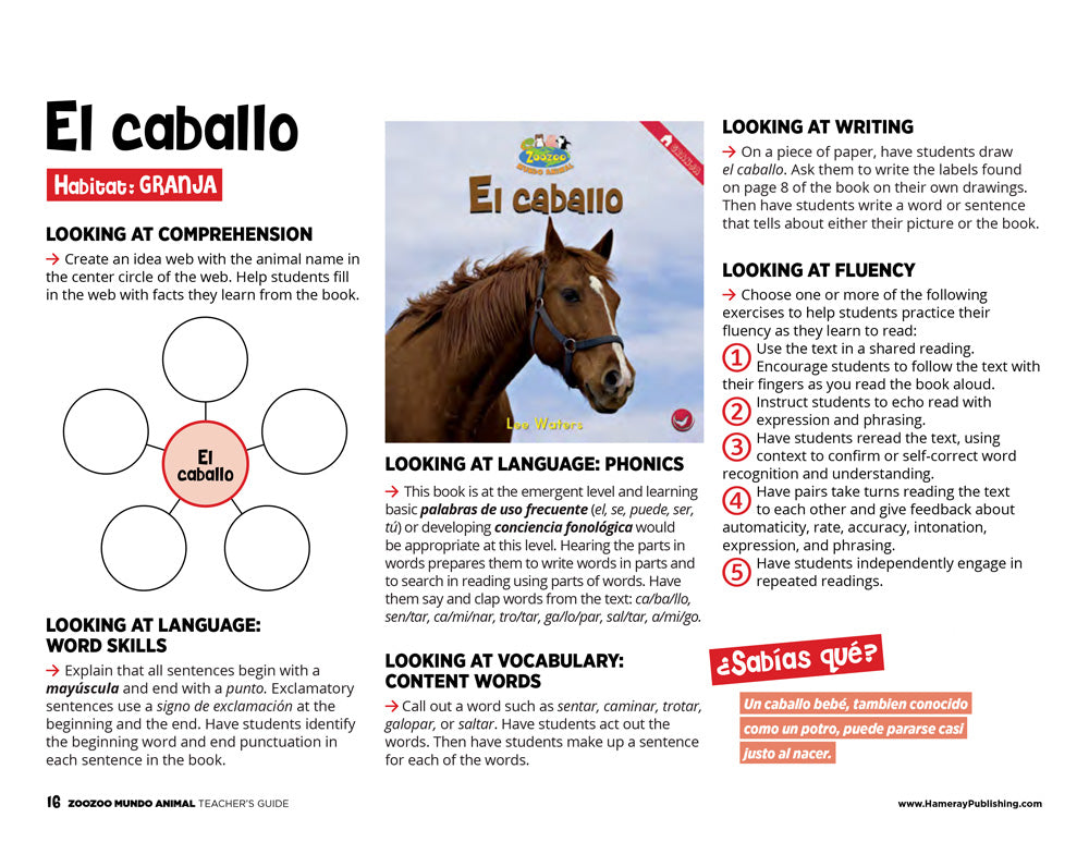 El caballo Teacher's Guide