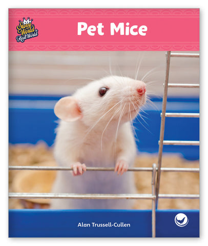 Pet Mice