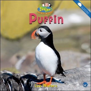 Puffin