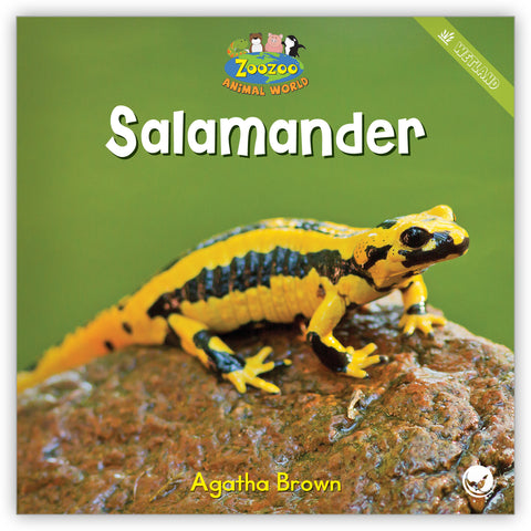 Salamander