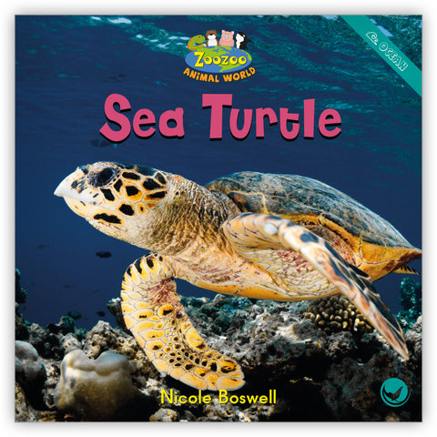 Sea Turtle