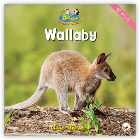 Wallaby