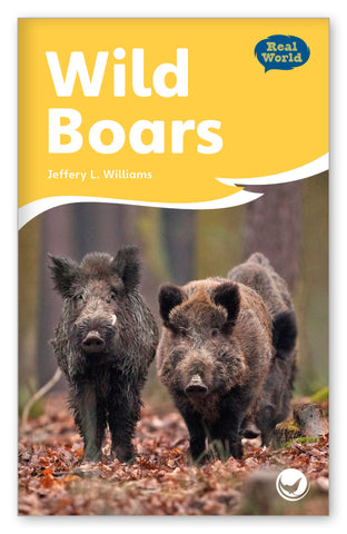 Wild Boars