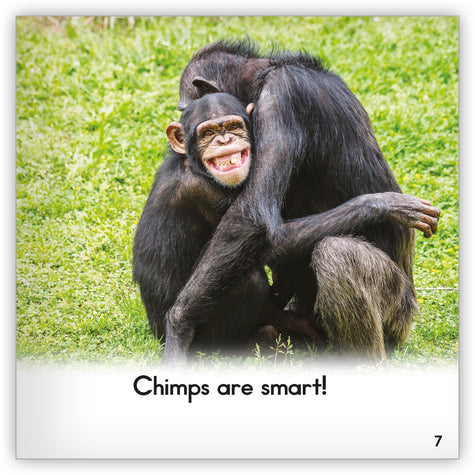 i went home with a chimpanzee baby book