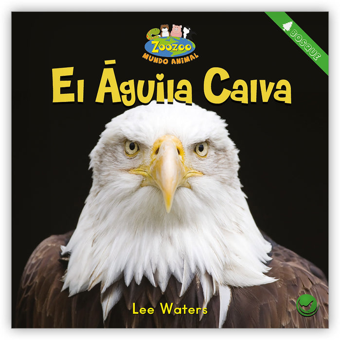 El águila calva - Zoozoo Mundo Animal - Hameray Publishing