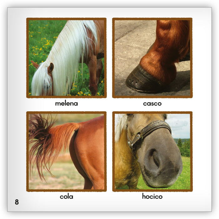 El caballo - Zoozoo Mundo Animal - Hameray Publishing