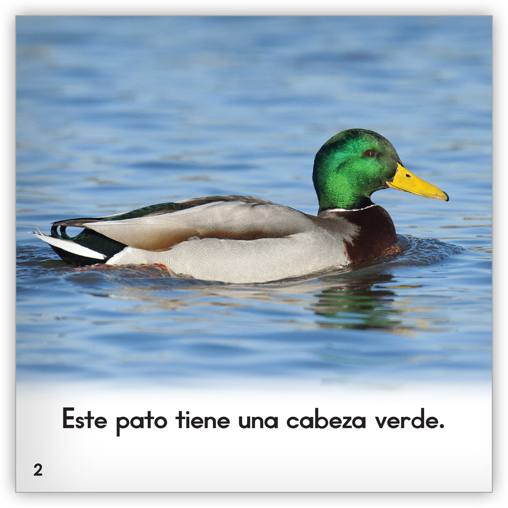 El pato - Zoozoo Mundo Animal - Hameray Publishing