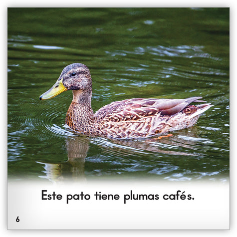 El pato - Zoozoo Mundo Animal - Hameray Publishing