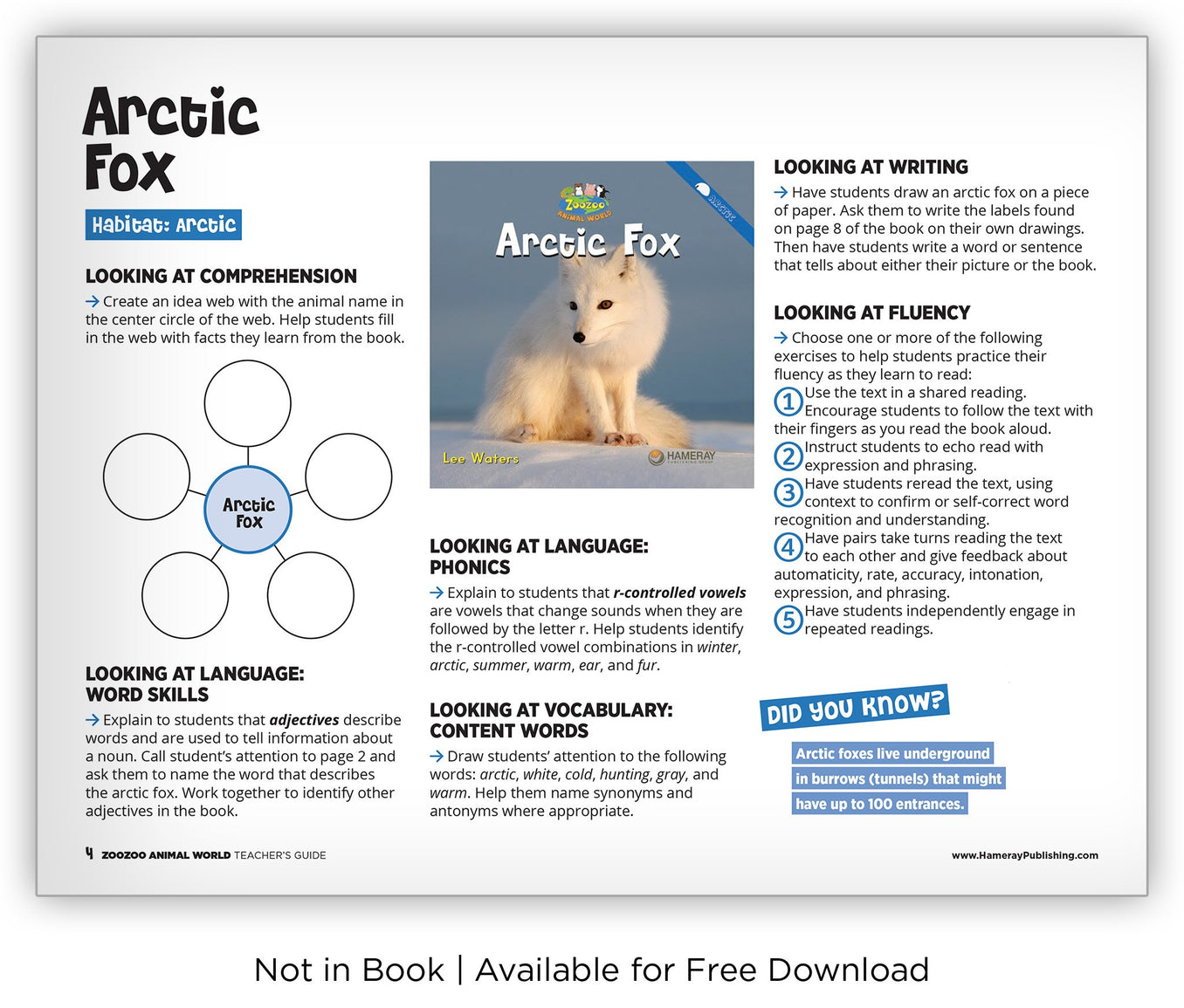 Arctic Fox Zoozoo Animal World Hameray Publishing
