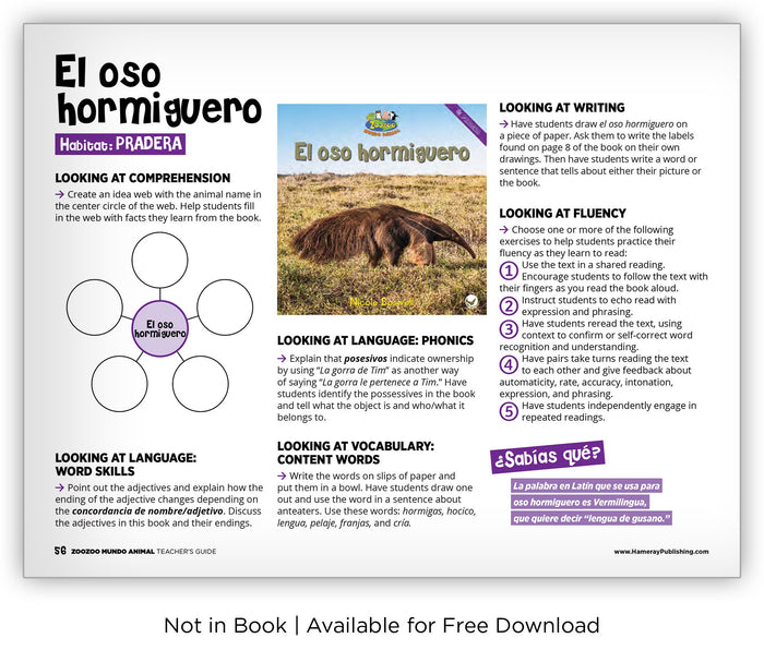 El oso hormiguero - Zoozoo Mundo Animal - Hameray Publishing