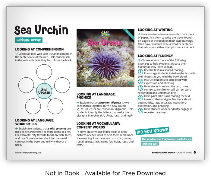 Sea Urchin Zoozoo Animal World Hameray Publishing