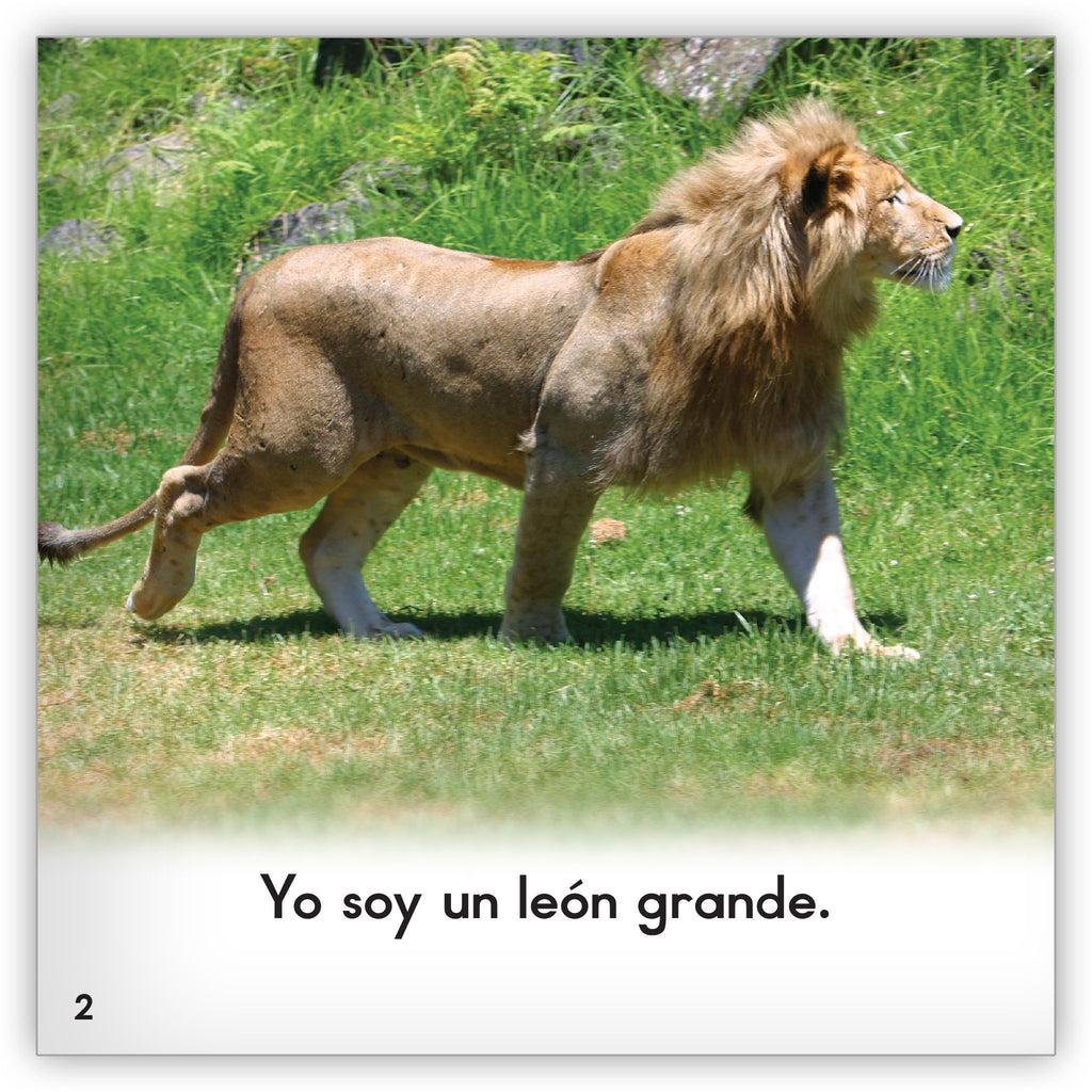 Los leones - Zoozoo En La Selva - Hameray Publishing