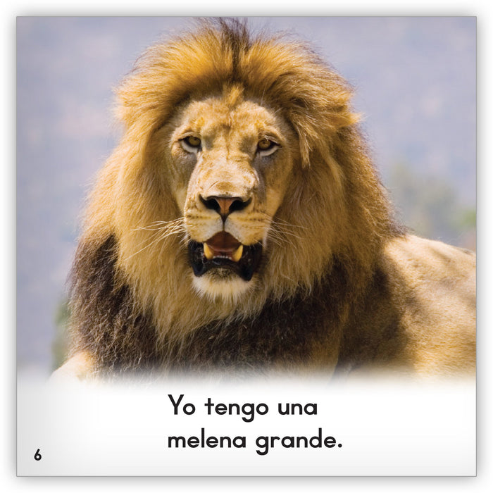 Los leones - Zoozoo En La Selva - Hameray Publishing