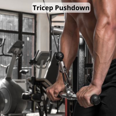 Tricep Pushdown Exercise in the Gym