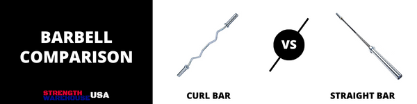 Curl Bar vs Barbell