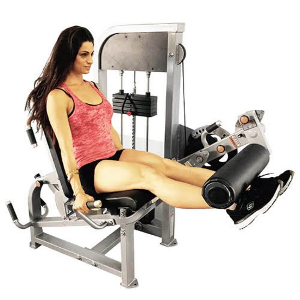 seated leg curl