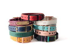 multiple color dog collars 