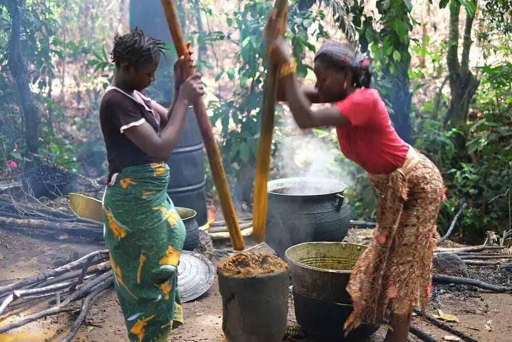 Discover People of Guinea Making Food