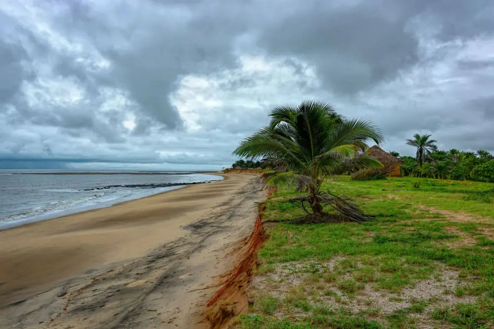 Guinea beach, climates and ecosystems
