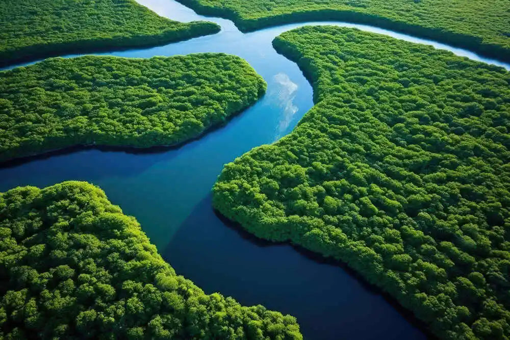 Senegal River in the north and the Casamance River in the southern part