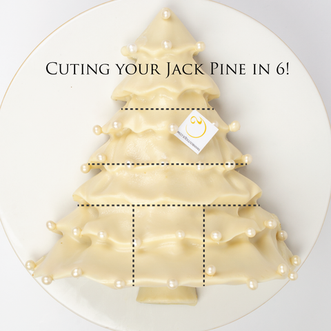  Watch chef Yann Blanchard explain how to cut the Jack Pine cake!