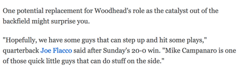 Michael Campanaro Woodhead role