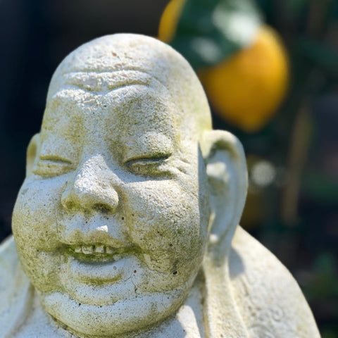 Buddha minding the lemon tree.