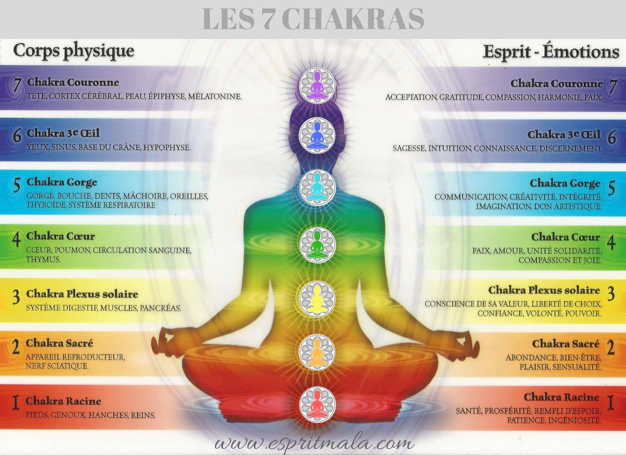 chakras yoga méditation blog