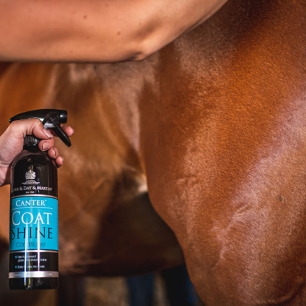 Carr & Day & Martin Gallop Colour Enhancing Shampoo for Grey Horses