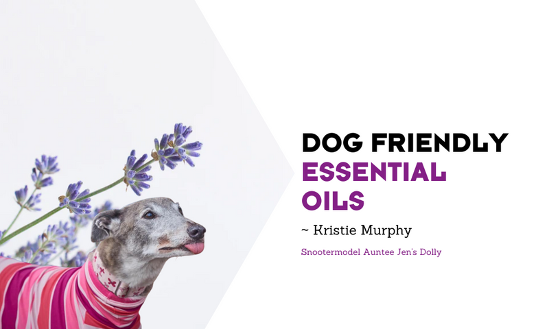 Dog Friendly Essential Oils – houndtees