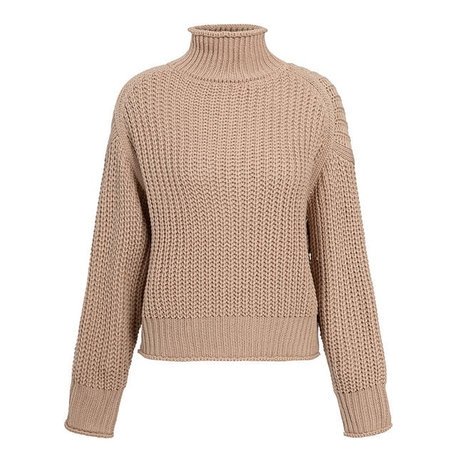 Turtleneck Long Sleeve Women Sweater – Teen Fashion