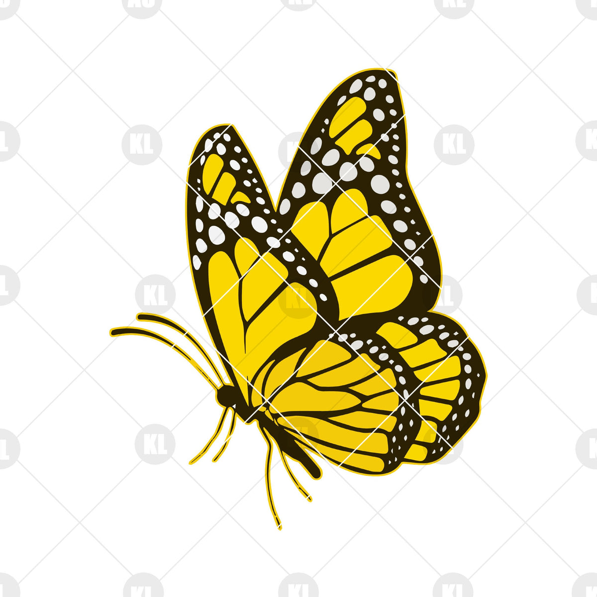 Free Free 145 Butterfly Svg Cut Files SVG PNG EPS DXF File